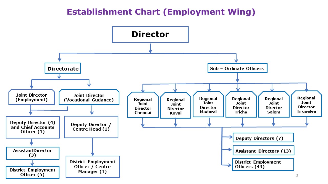 organisation chart